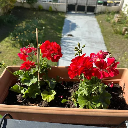 Maison Grand Paris Avec Jardin Et Parking Prive Proche Rer B Et M14 *