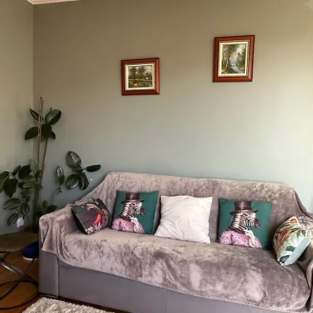Villa Maison Grand Paris Avec Jardin Et Parking Prive Proche Rer B Et M14 Arcueil